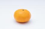 みかん吉田テスト